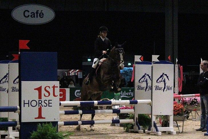 New Forest Primakov <3 R.I.P. 27/10 2011 - La** - national klasse ved JBK 2010               taget af: Sabrina Lønfeldt billede 6