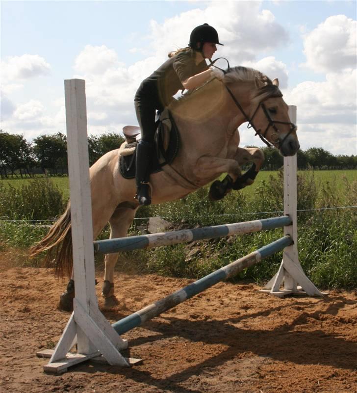 Fjordhest Eddie - 9# ITogether we can touch the sky! <3 billede 9