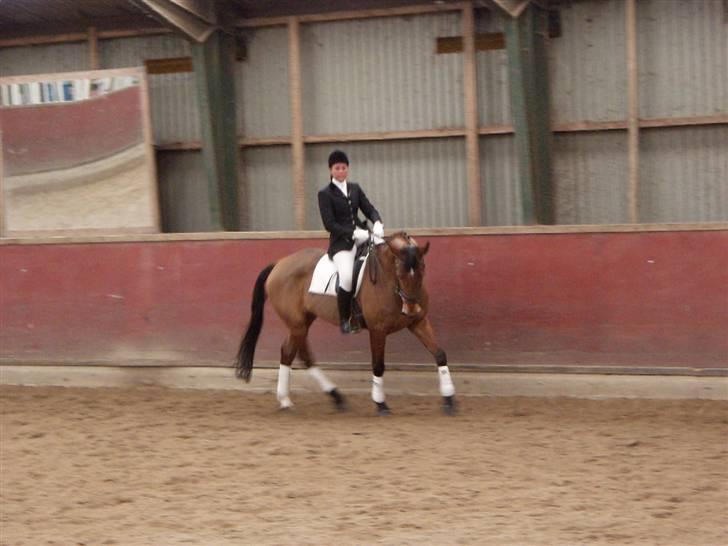 Anden særlig race Frk. Smilla - RIP <3 billede 11