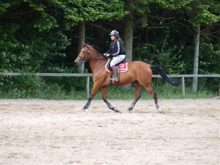 Anden særlig race Frk. Smilla - RIP <3 - Første gang vi springer efter hun var syg :) billede 12