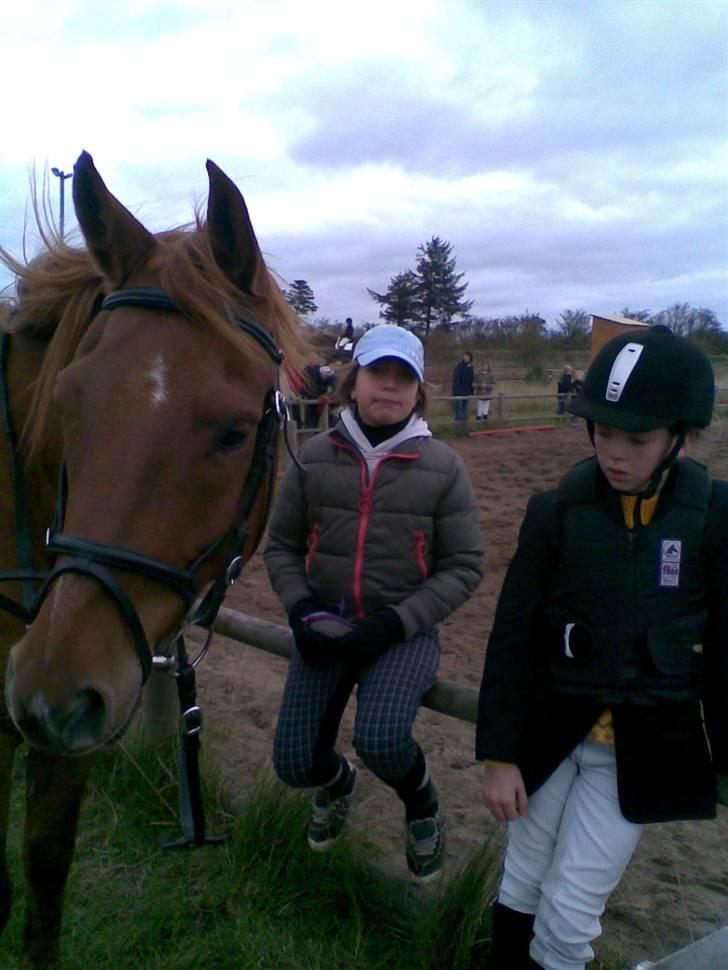 Anden særlig race PlayBoy <3 billede 17