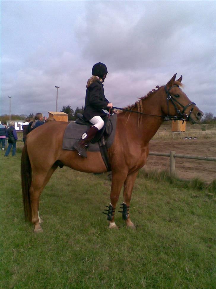 Anden særlig race PlayBoy <3 billede 18