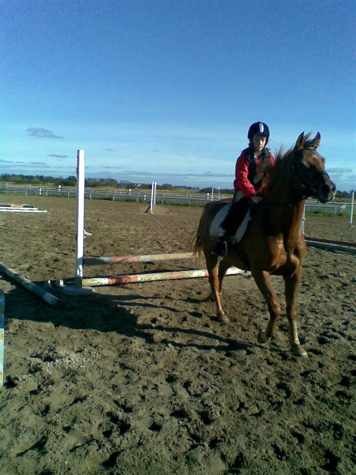 Anden særlig race PlayBoy <3 billede 19