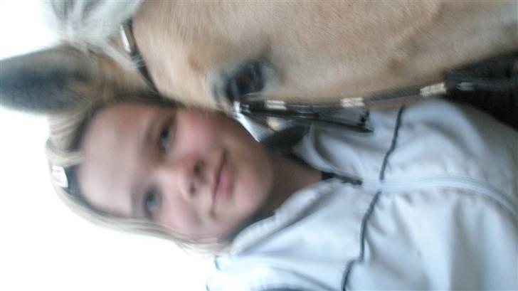 Fjordhest malou *SOLGT* - miig og miin pony<33 billede 10