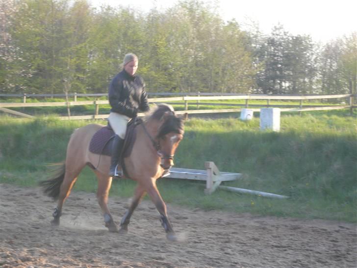 Anden særlig race Tarzan  - Sara & tarzan  billede 14