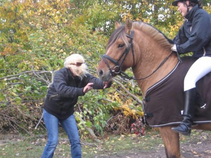 Anden særlig race Tarzan  - man må finde sig i meget som superstar  billede 15