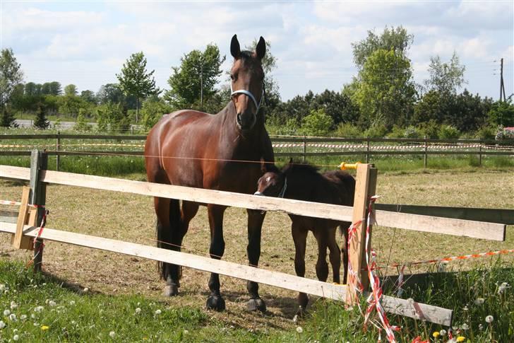 Oldenborg Jaqueline vaseskov - Mor og barn Foto: Mille Christophersen billede 3