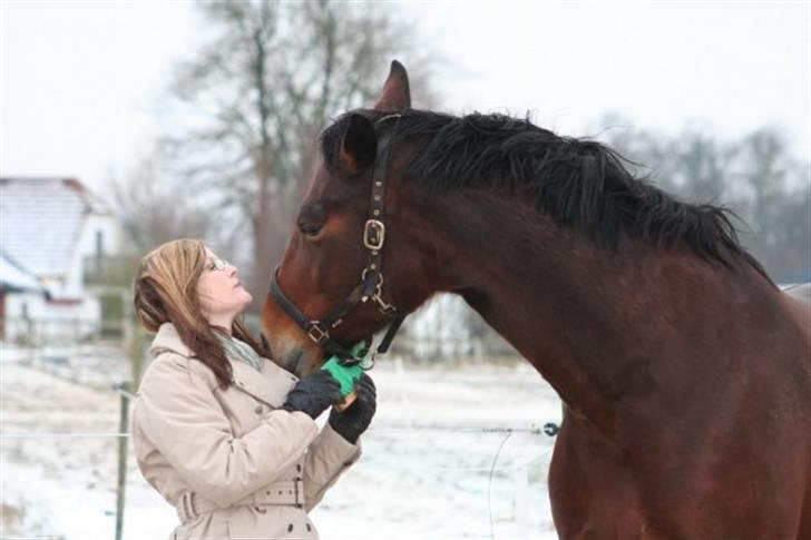Oldenborg Jaqueline vaseskov - Januar 2010. Kort før hun blev aflivet billede 5