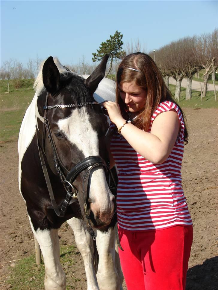 Pinto Sergio Tattani billede 9