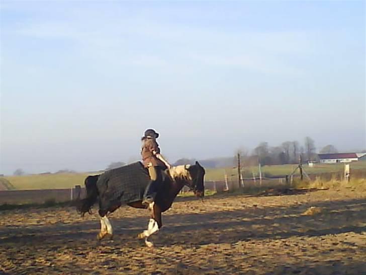 Pinto <3<3Tipi<3<3 billede 7