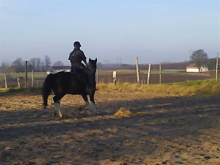 Pinto <3<3Tipi<3<3 billede 9