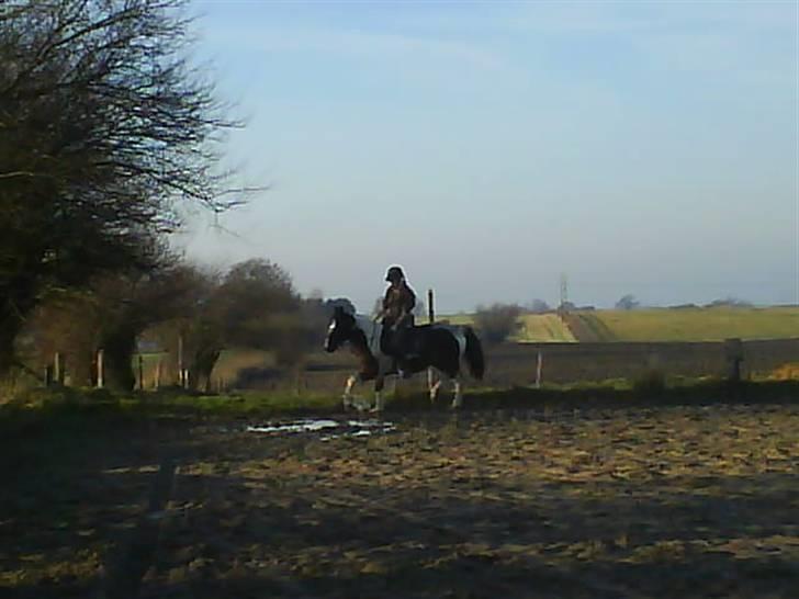 Pinto <3<3Tipi<3<3 billede 11