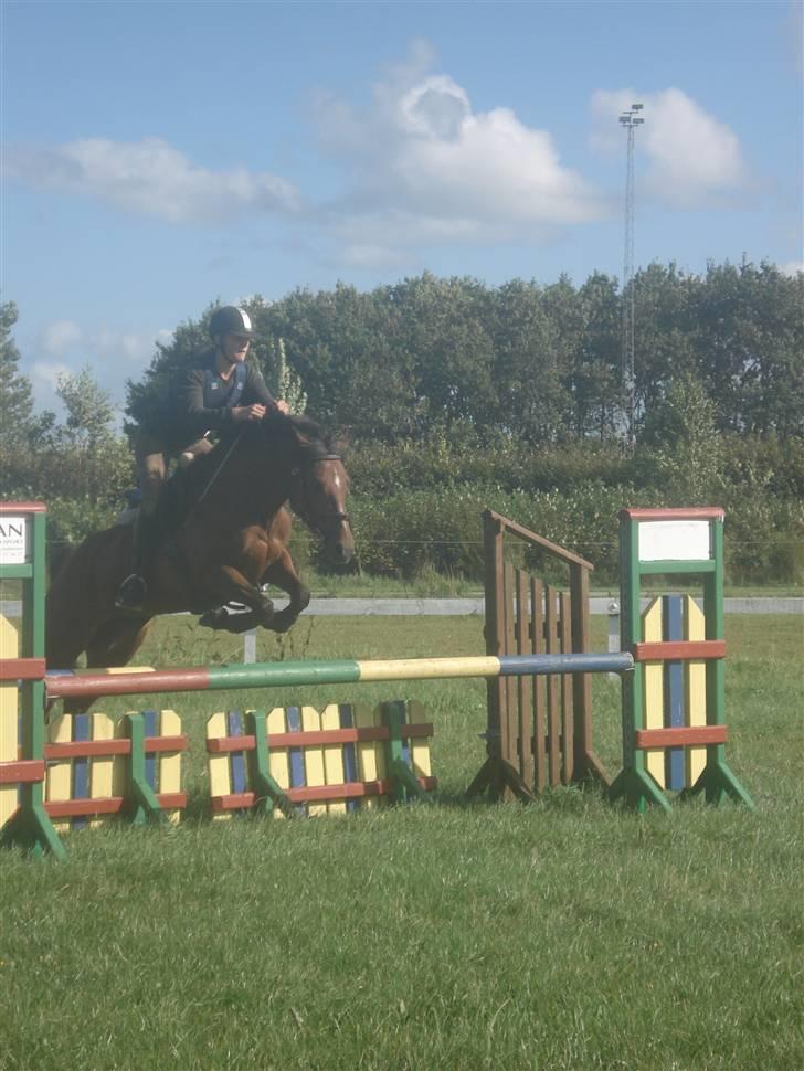 Anden særlig race Regina (Solgt) billede 18