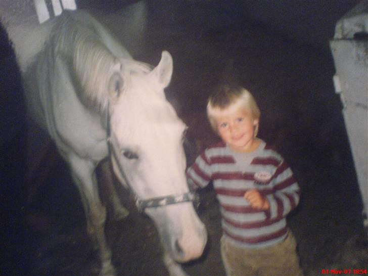 Sportsaraber (A) Shila (død) - Min lillebror og Shila (: billede 10