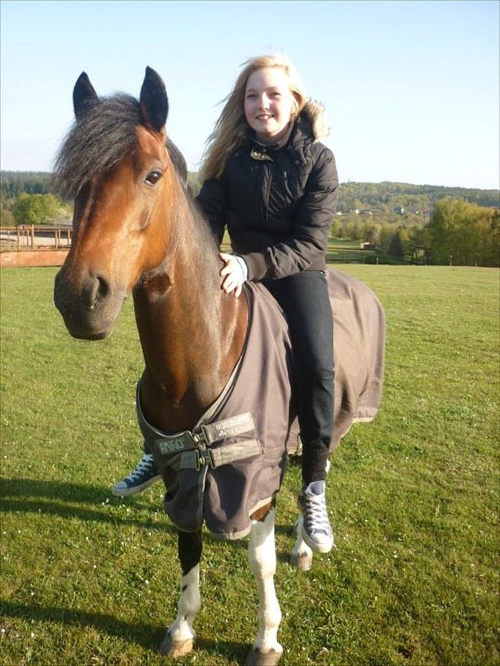 Anden særlig race Frenja, solgt. - Til Louises konfirmation, hvor Baby og Camelot gik natten over på en af Fort Østerlunds folde :-)  billede 8