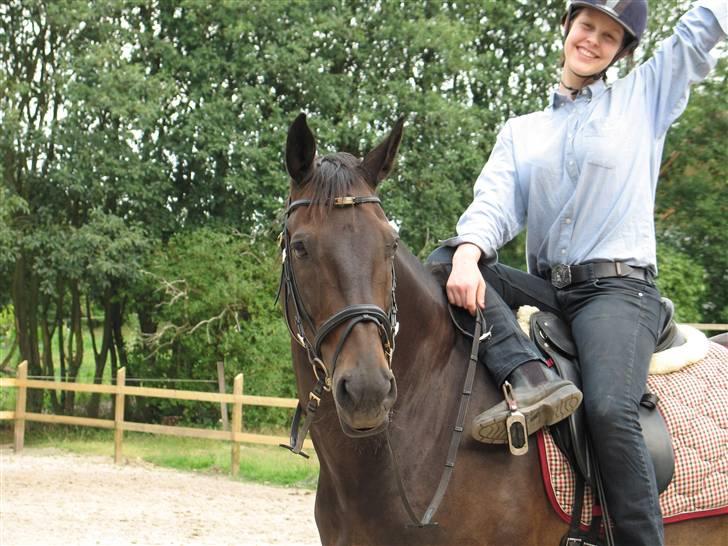 Dansk Varmblod *Kildegårdens Barton* sov stil ind den 19.dec 2011 - endnu et foto af barton med kapsun billede 6