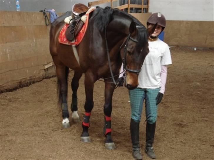 Anden særlig race Tanok billede 9