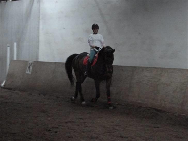 Anden særlig race Tanok billede 11