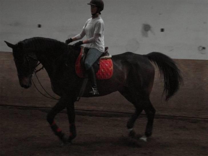 Anden særlig race Tanok billede 12