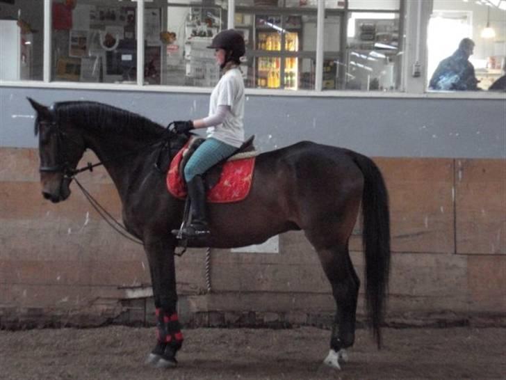 Anden særlig race Tanok billede 15