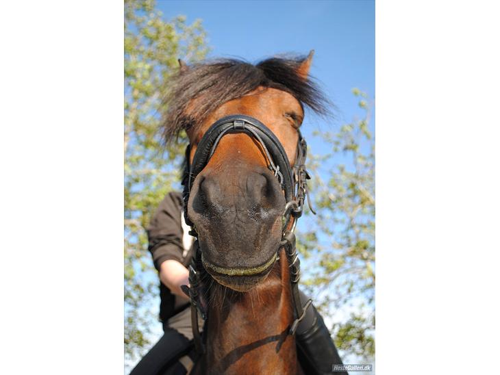 {{currentPhoto.altText}} billede {{currentPhoto.number}}