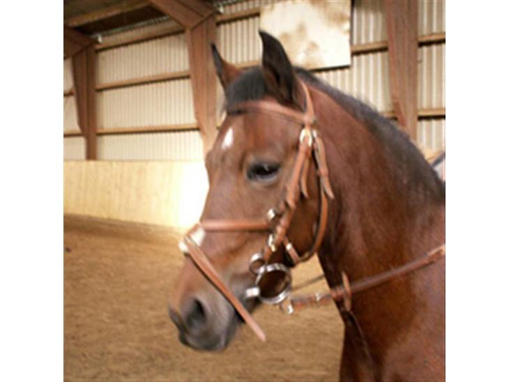 {{currentPhoto.altText}} billede {{currentPhoto.number}}