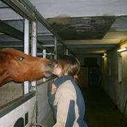 Anden særlig race  Fighter *SOLGT*