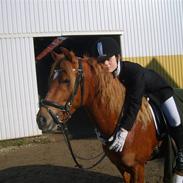 Anden særlig race  Fighter *SOLGT*