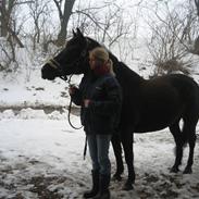 Anden særlig race Lotte