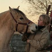 Fjordhest Stald Kiels Krønike