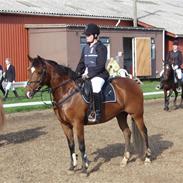 Tysk Sportspony Penny Lane