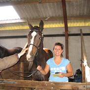 Dansk Varmblod Kildevangs lerika