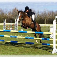 Anden særlig race Paloma Picasso [SOLGT]