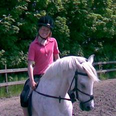 Welsh Mountain (sec A) Cherie