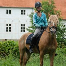 Anden særlig race Just hugo Forever 