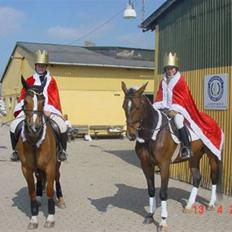 Anden særlig race Aicha