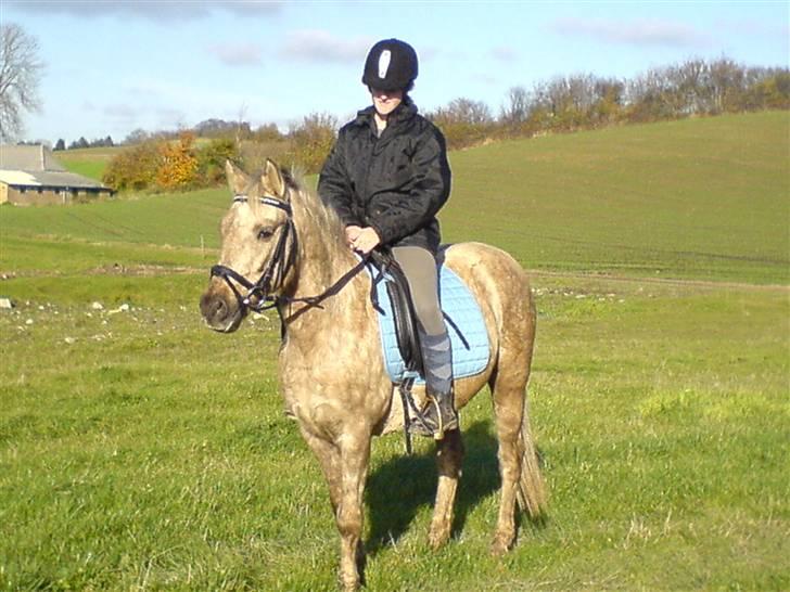 Anden særlig race R.I.P. Blondie ll billede 15