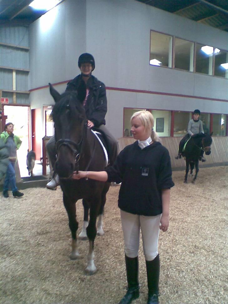 Dansk Varmblod Coronopus (DØD) - Mor der sidder på Connie :D billede 5