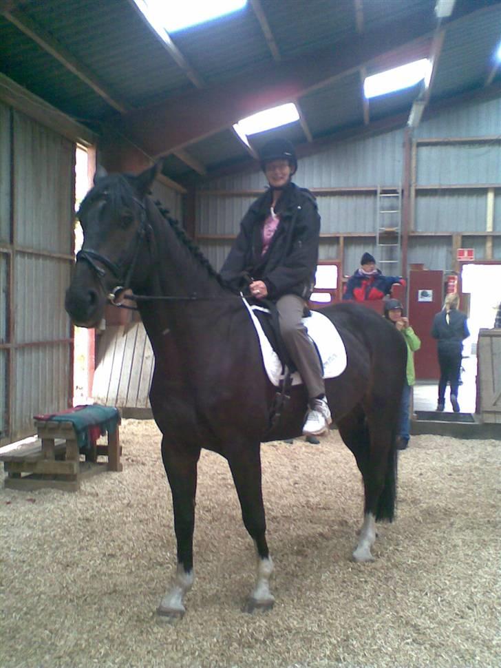 Dansk Varmblod Coronopus (DØD) - Mor og Connie, alene :D billede 6