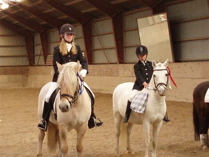 Fjordhest Ingegård's Bea SOLGT - Præmie overakelse til vores første stævne. billede 11