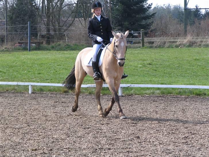 DSP Rakits Fire Light(Solgt) billede 14