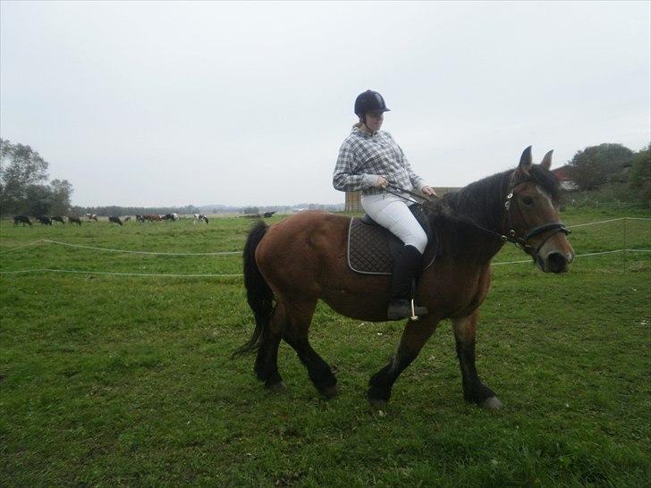 Belgier Bell,,  - dejligt der var lige et æble billede 13