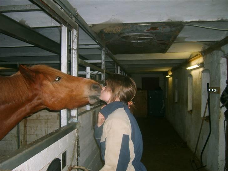 Anden særlig race  Fighter *SOLGT* - jeg elsker dig (: <3 billede 1