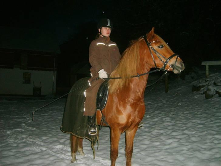 Anden særlig race  Fighter *SOLGT* - januar 07 billede 8