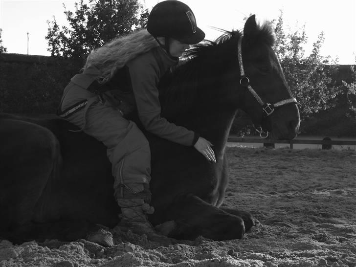 Anden særlig race Merci ( ejer: jacqueline) - efterårsferie 09 billede 8