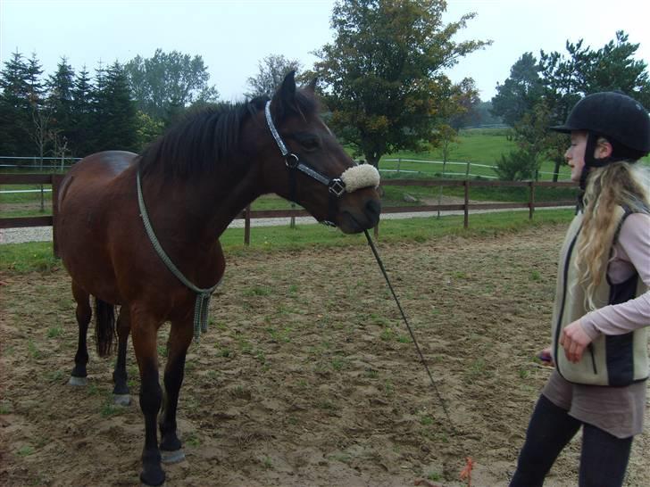 Anden særlig race Merci ( ejer: jacqueline) - efterår 08, tag pisken!>.< billede 10