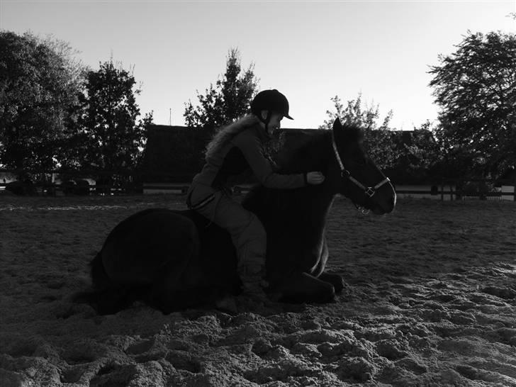 Anden særlig race Merci ( ejer: jacqueline) - efterårsferie 09 billede 14