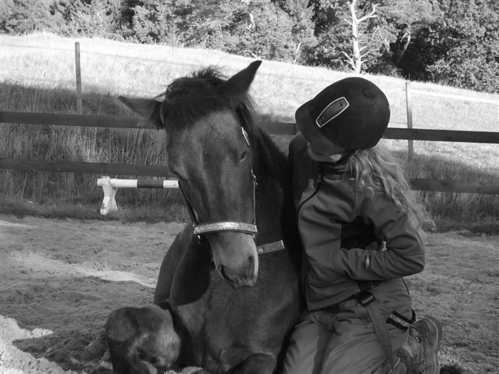 Anden særlig race Merci ( ejer: jacqueline) - efterårsferie 09 billede 17