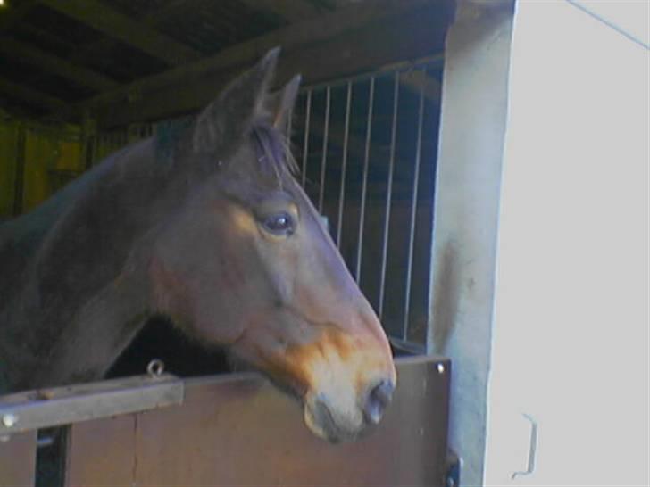 Traver Delvin Key billede 1