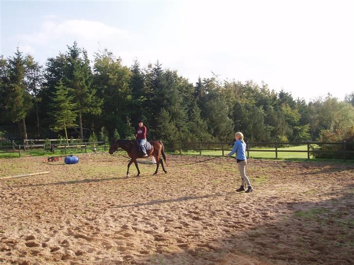 Traver Delvin Key billede 4